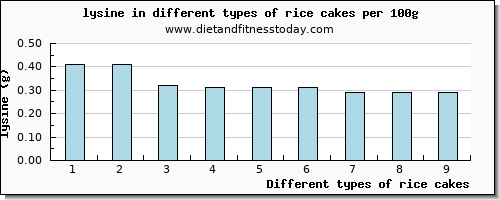 rice cakes lysine per 100g